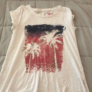 Palm tree